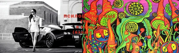 MESCALINE Белокуриха