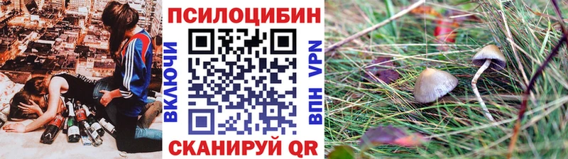 даркнет сайт  Куровское  Псилоцибиновые грибы Cubensis 